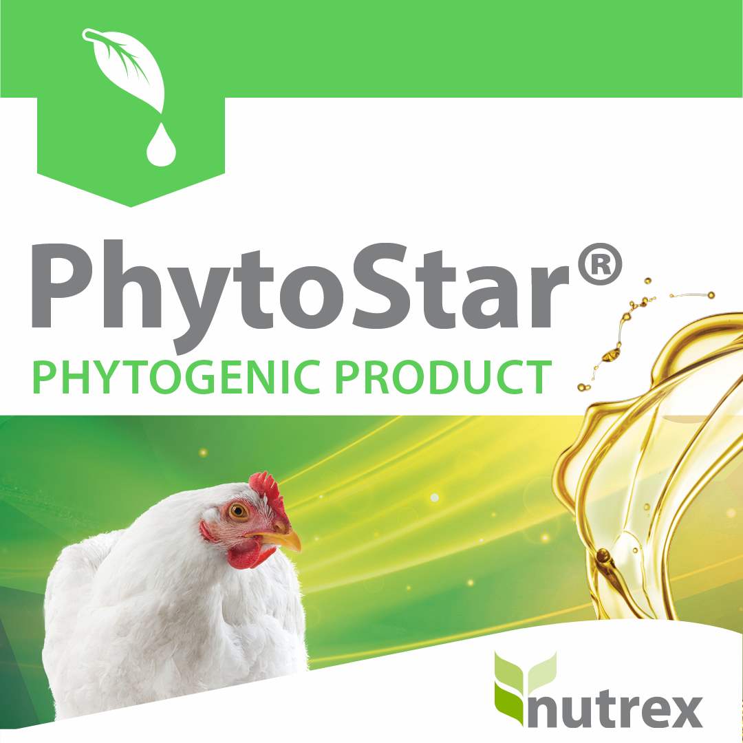 PhytoStar Extra