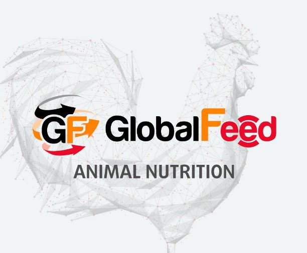 جلوبال فيد (Global feed)